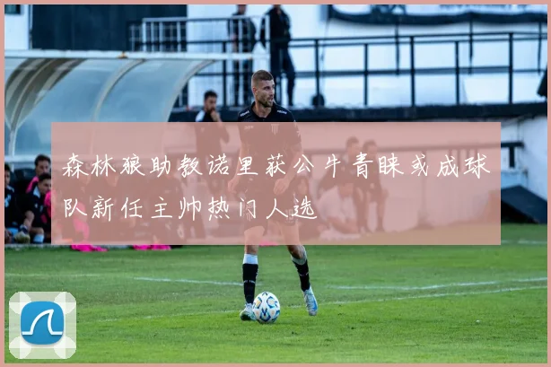 森林狼助教诺里获公牛青睐或成球队新任主帅热门人选